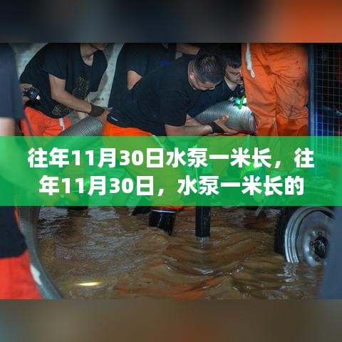 鸟骇鼠窜 第4页