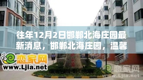 往年12月2日邯郸北海庄园最新动态，温馨生活中的惊喜与深厚友情展现