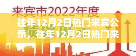 往年12月2日热门来宾公示及其深度解析