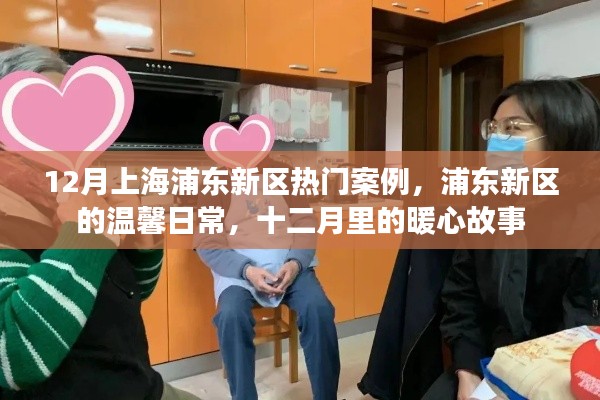 上海浦东新区十二月暖心故事，温馨日常的热门案例