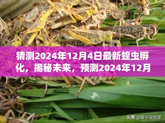 揭秘未来，预测蝗虫孵化盛况，揭秘2024年12月4日最新蝗虫孵化盛况