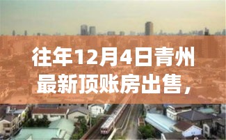 青州顶账房市场深度解析，最新出售行情与市场观点汇总