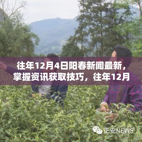 动态 第311页