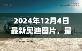真独简贵 第4页