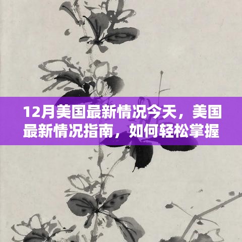美国十二月最新资讯与技能掌握指南