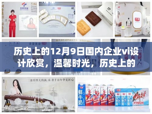 历史上的十二月九日，企业VI设计欣赏与我的奇妙之旅