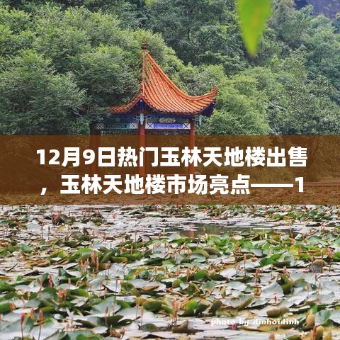玉林天地楼市场亮点解析，热门楼盘出售深度探讨