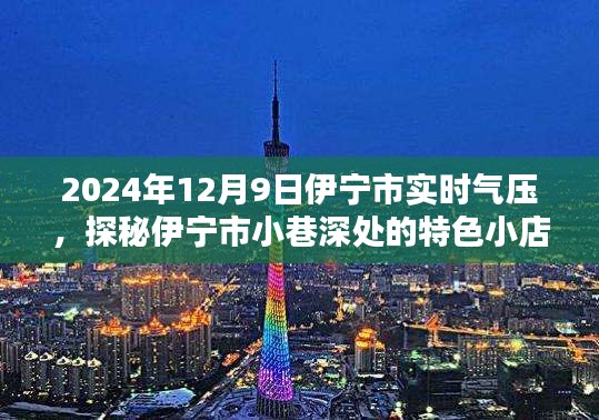 伤弓之鸟 第3页