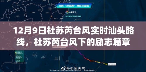 不飞则已 第3页