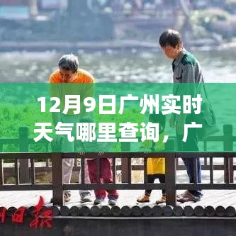 插翅难飞 第4页