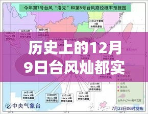 还淳反素 第3页