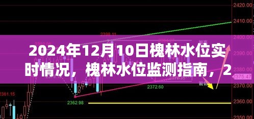 槐林水位实时监测指南，获取2024年12月10日实时水位信息