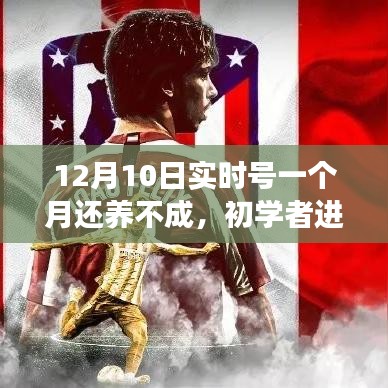初学者进阶指南，掌握技能提升策略，一个月内成功养成实时号！