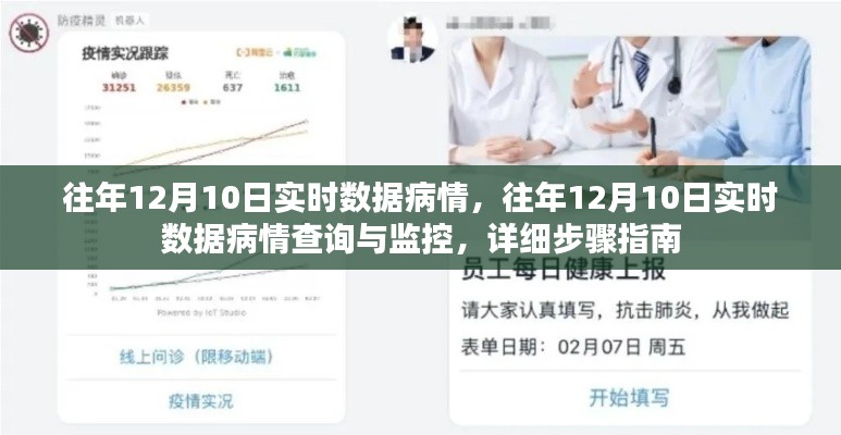 往年12月10日实时疫情数据查询与监控指南，详细步骤及病情洞察