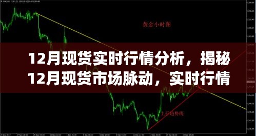 案例 第230页