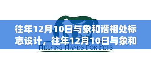 解读与反思，往年12月10日的与象和谐共处标志设计及其启示