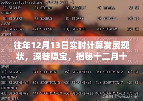 揭秘十二月十三日实时计算技术跃动与深巷特色小店魅力，实时计算发展现状深度解析