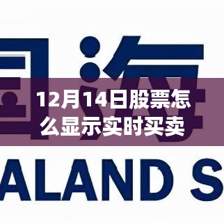 12月14日股票实时买卖指南，小红书上查看最新股票买卖信息的秘籍