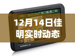 张惶失措 第3页