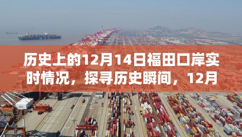 探寻历史瞬间，福田口岸在十二月十四日的实时情况深度解析