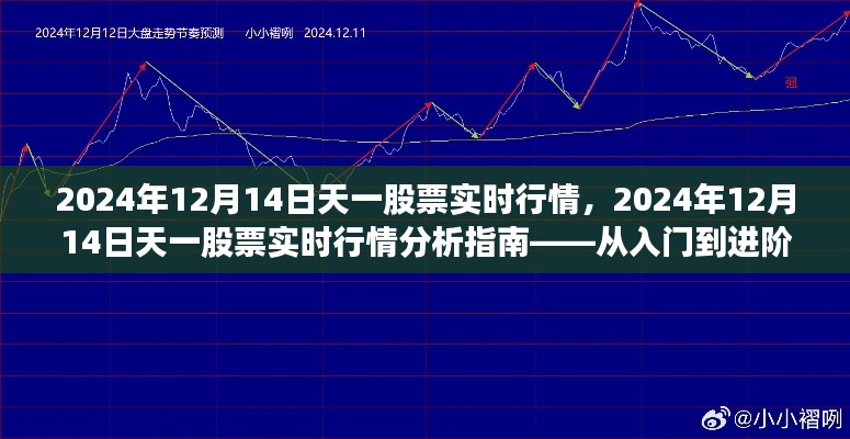 天一股票实时行情解析，入门到进阶指南（2024年12月14日版）