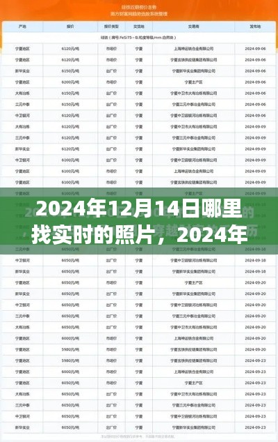 案例 第205页