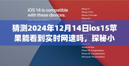 探秘未来科技下的日常小确幸，iOS网速实时查看与小巷特色小店的奇妙碰撞