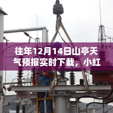 动态 第205页