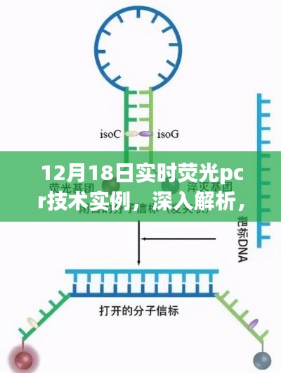 12月18日实时荧光PCR技术实例详解与全面评测