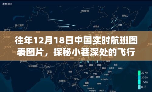 揭秘航班图表之旅，探秘小巷深处的飞行秘密与特色小店的航班数据展示