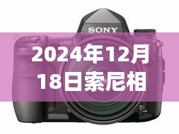 展翅欲飞 第3页