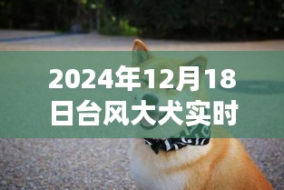 台风大犬实时路径图片获取指南，初学者与进阶用户适用（2024年12月18日更新）