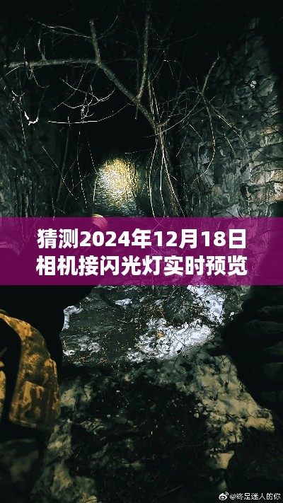 全神贯注 第2页