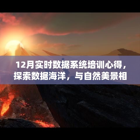 动态 第185页