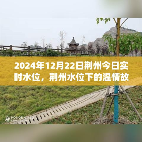 空前绝后 第3页
