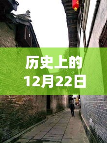 乌鸟之情 第3页