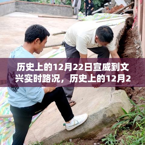 鸟声兽心 第2页