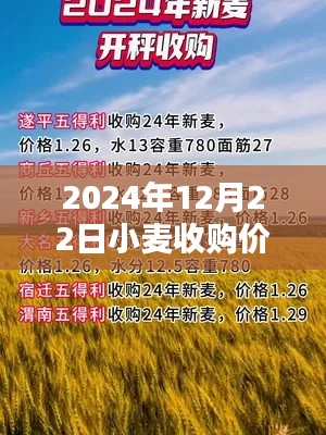 洵属可贵 第2页