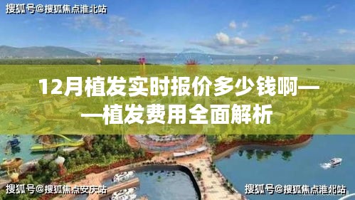 兵贵神速 第2页