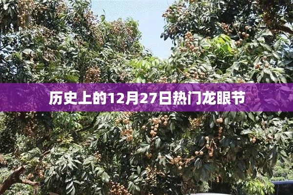 龙飞凤舞 第2页
