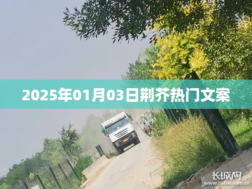 荆芥热门文案大揭秘，2025年1月3日精彩呈现