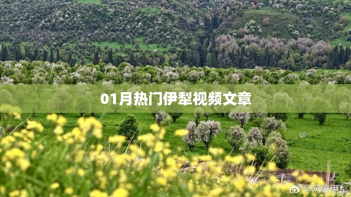 伊犁热门视频文章盘点（一月精选）