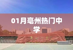反朴归真 第2页