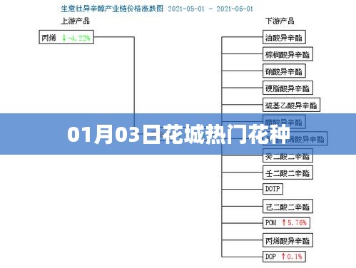 百鸟齐鸣 第2页
