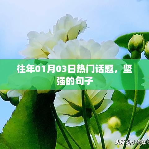 张弓挟矢 第2页