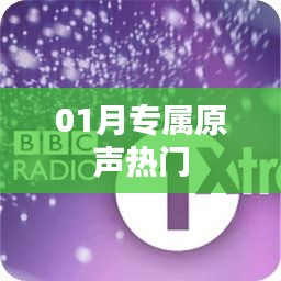 一石二鸟 第2页