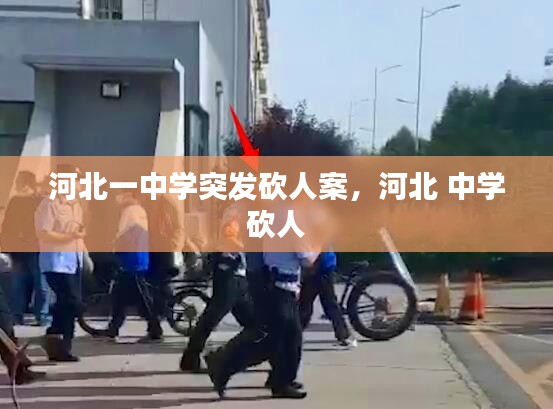 继晷焚膏 第2页