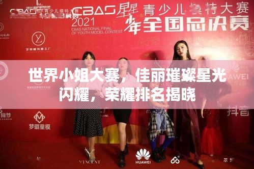 百鸟归巢 第2页