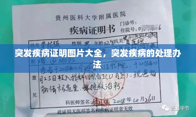 突发疾病证明图片大全，突发疾病的处理办法 