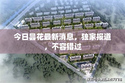 今日昙花最新消息，独家报道，不容错过